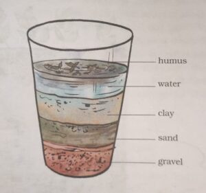 Layers of soil 