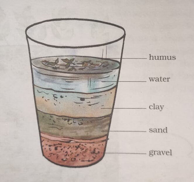 NCERT Science Solutions class 7 chapter 9 - Soil - Bio Simplified