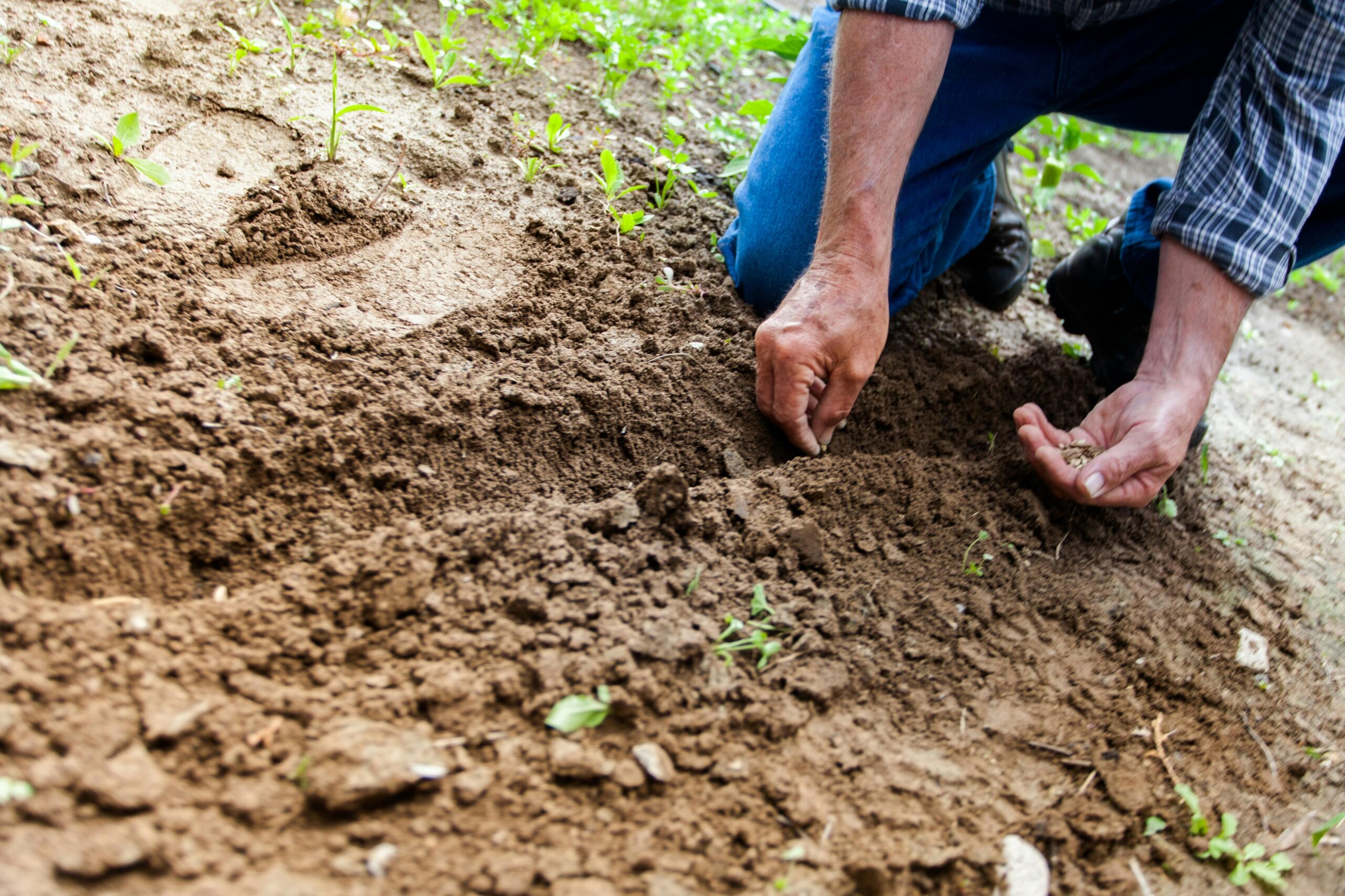 NCERT Science Solutions for class 7 chapter 9 - Soil 