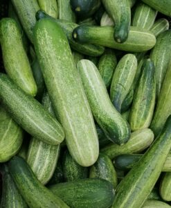 Cucumber