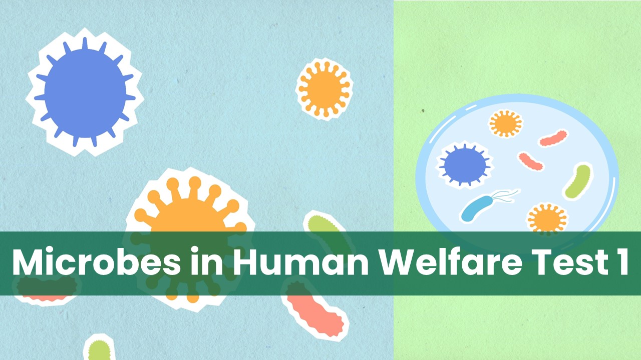 NEET PYQ ; Microbes in Human Welfare Test 1